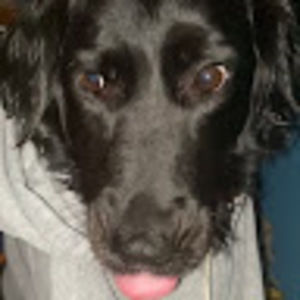 Meet your Posher, Cody